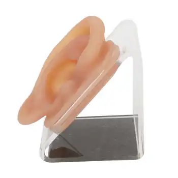 Модель практического уха, модель уха без запаха, удобный для кожи Портативный силикон с подставкой для обучения акупунктуре для ювелира